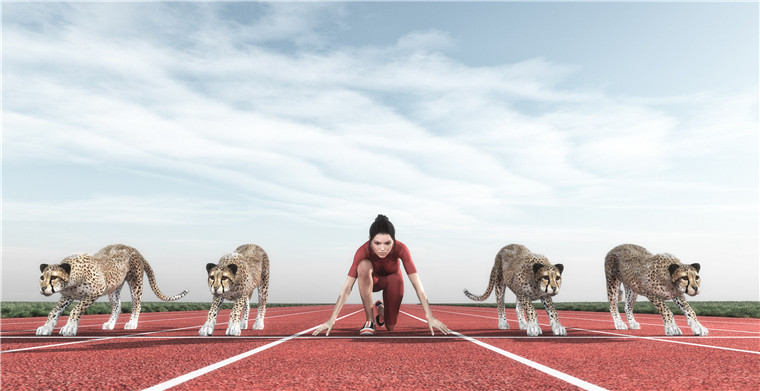 國(guó)際物流專線