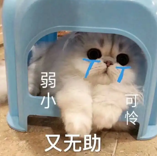 國際快遞 國際快遞