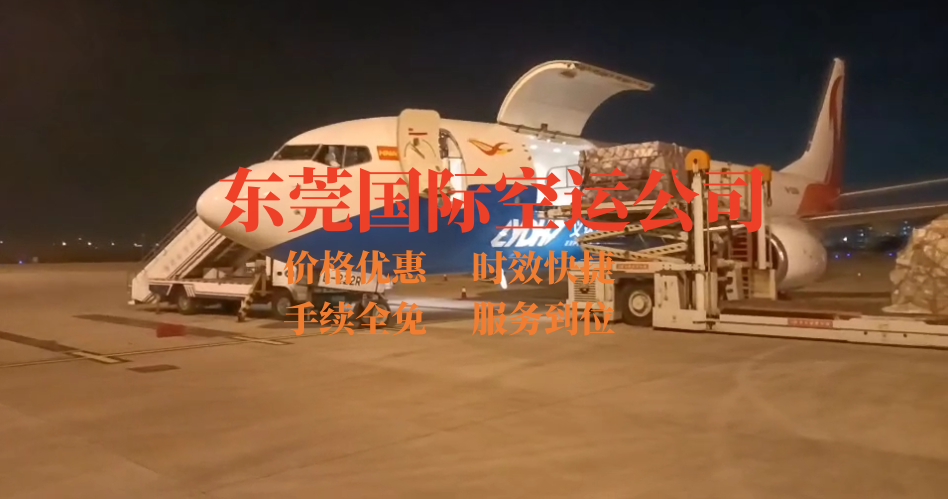 東莞國際空運公司